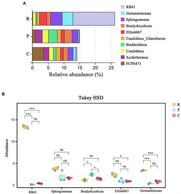 Soil bacterial communities of three types of plants from ecological restoration areas and plant-growth promotional benefits of Microbacterium invictum (strain X-18)